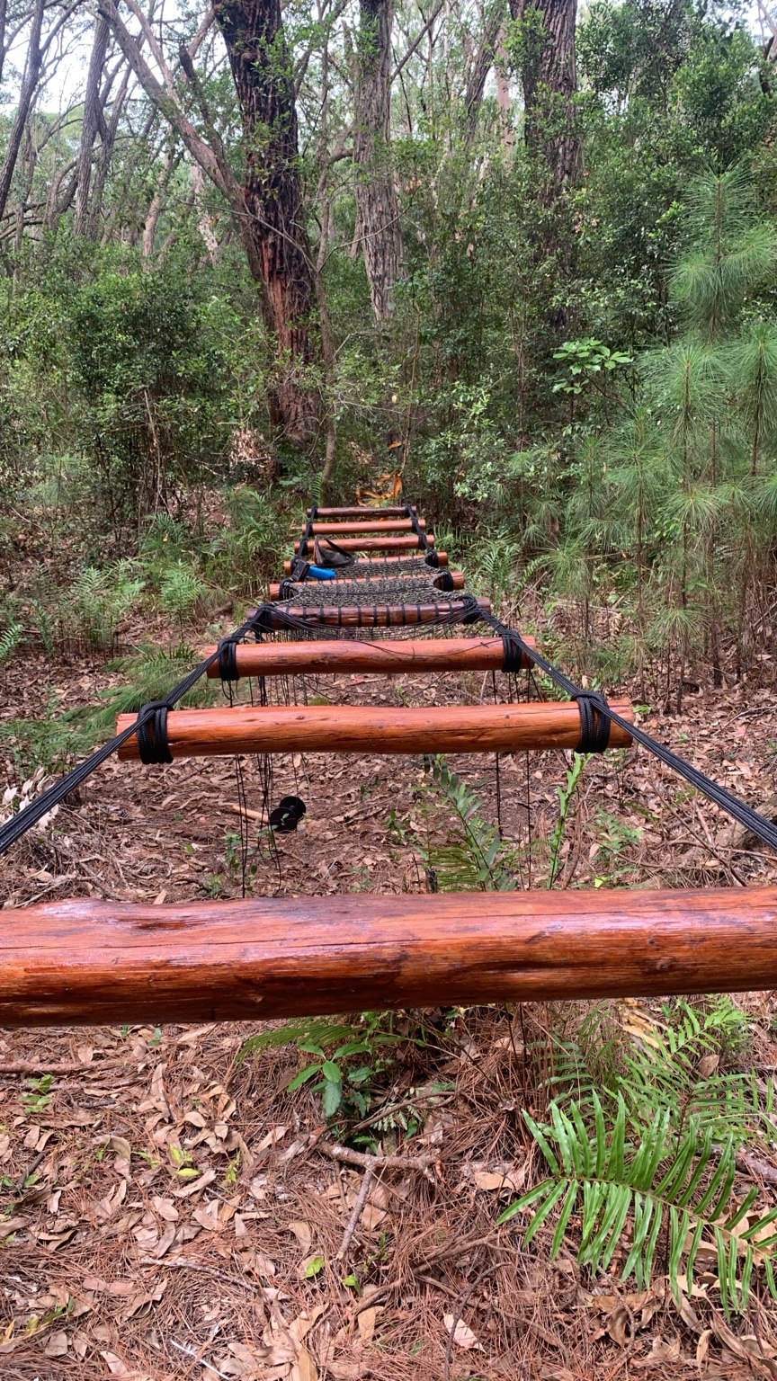 Ponte de cordas com degraus de madeira em meio à vegetação